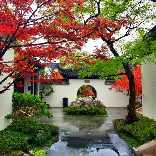 花園園林設(shè)計(jì)和施工可以讓裝修公司一起做嗎