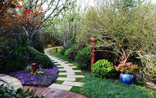 設(shè)計(jì)師眼里的龍湖 原山