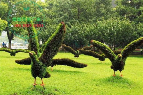 寧陽立體花壇圖片