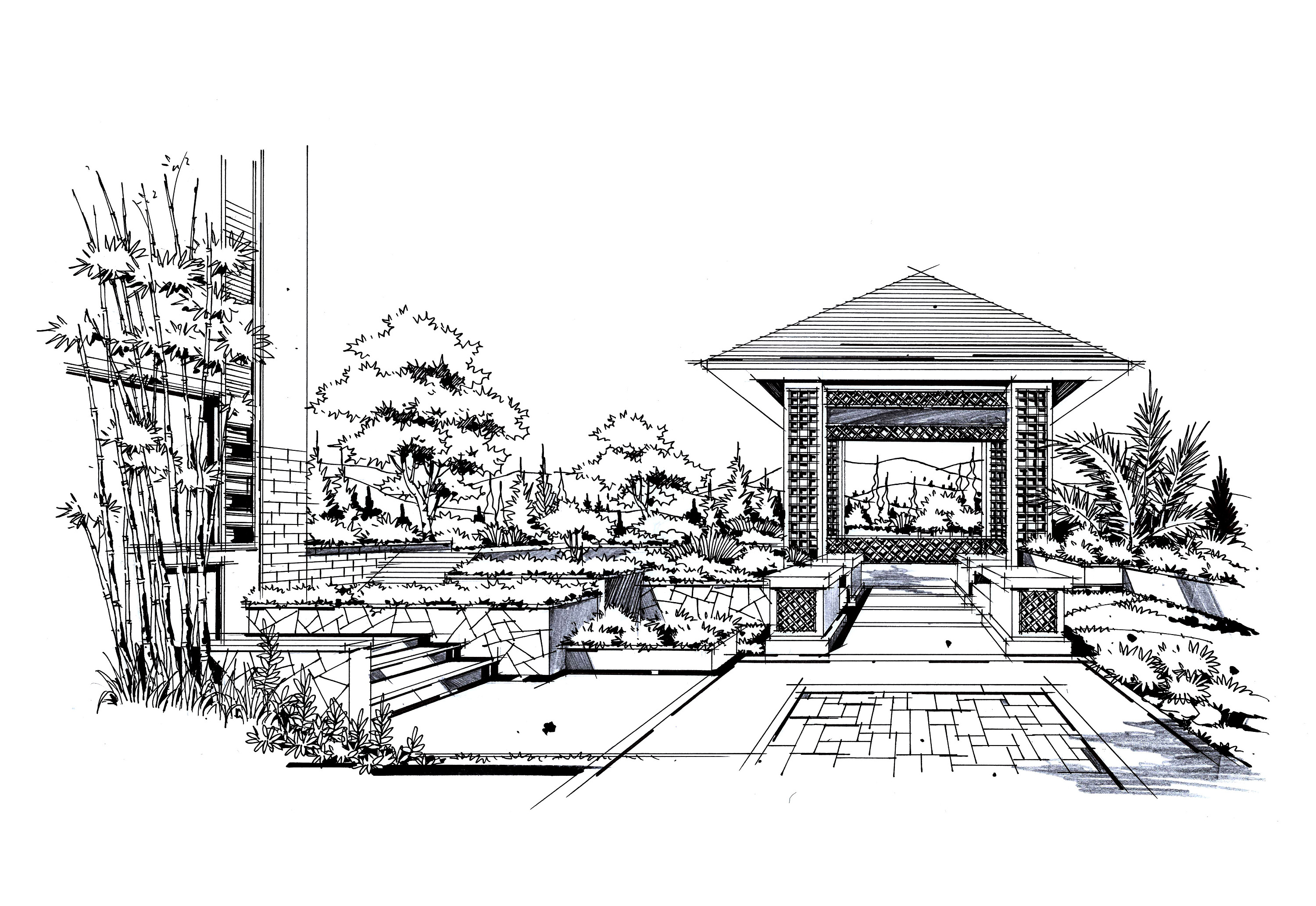 園林景觀(guān)手繪|純藝術(shù)|鋼筆畫(huà)|晉繪丨小威 